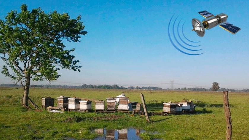 El futuro de la miel, en los satélites