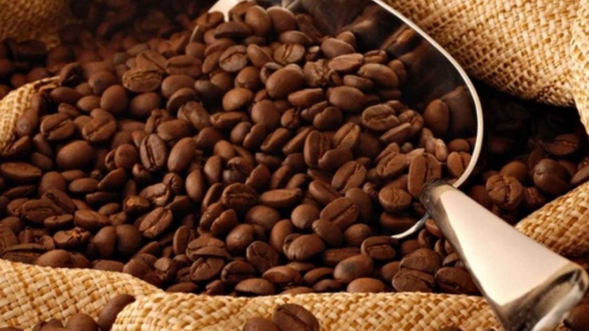 Perú: Producción de café cae 10% por abandono de cultivos y menos mano de obra