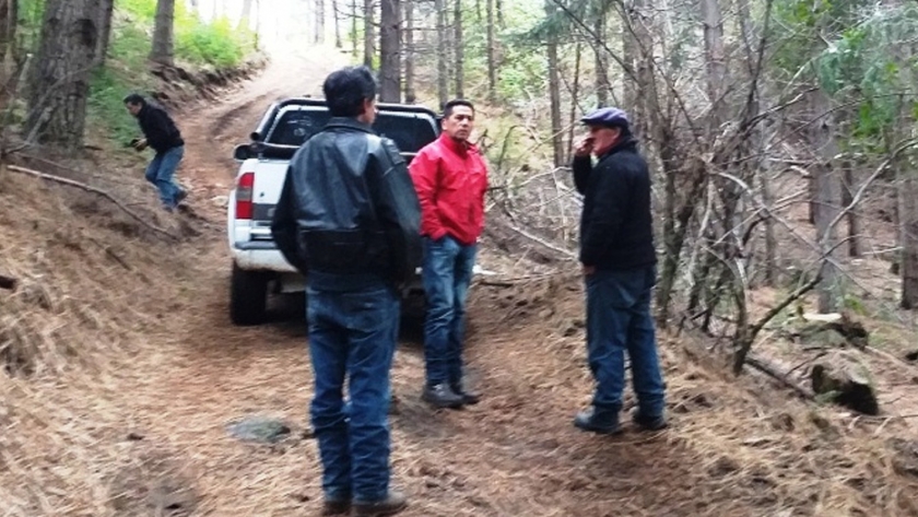 Provincia planifica las tareas de extracción forestal en las reservas de la comarca andina