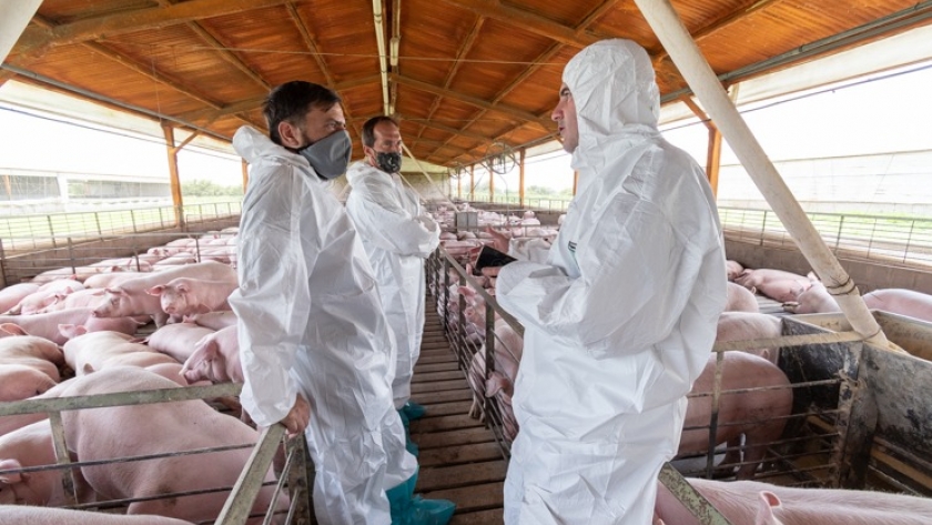 El ministro Juan Lavandeira visitó las empresas porcipunta y agroalimentos San Luis