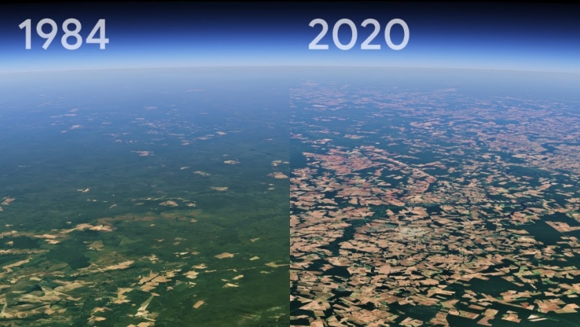 Timelapse: la nueva función de Google Earth que permite visualizar cuánto cambió el mundo en los últimos 40 años