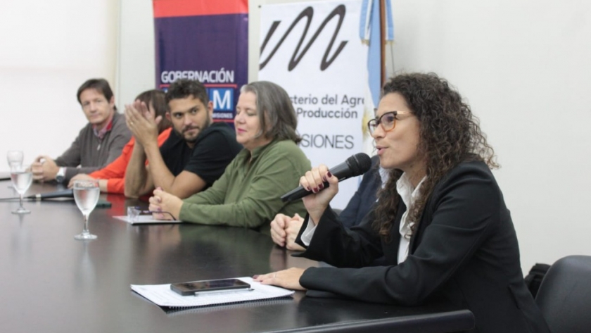 La mandioca en tu mesa: lanzaron un concurso para fomentar su consumo 