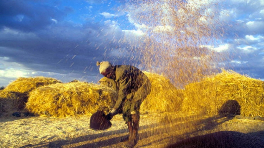 Mapear un futuro para los agricultores de África