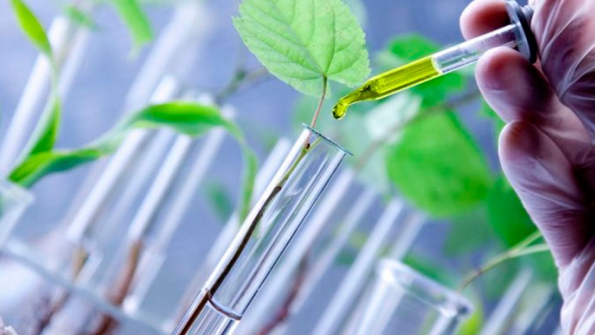 La bioeconomía permite estimular el crecimiento y mitigar el cambio climático