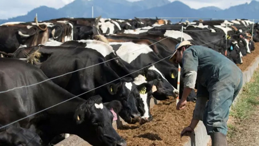 New Zealand Inc se beneficia del bloqueo de Covid rápido y duro