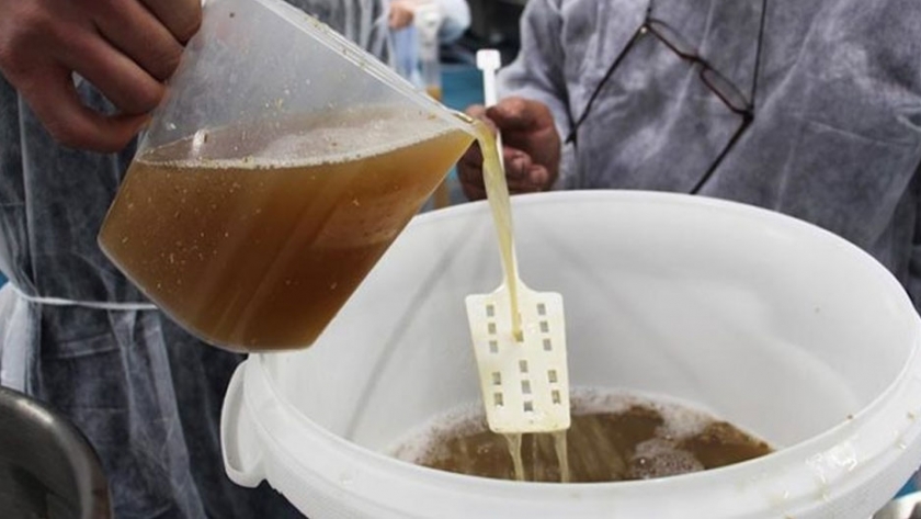 Producirán una bebida para celíacos similar a la cerveza tradicional