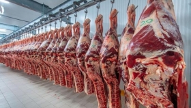 Cepo a la carne: la “vaca china” sigue esperando