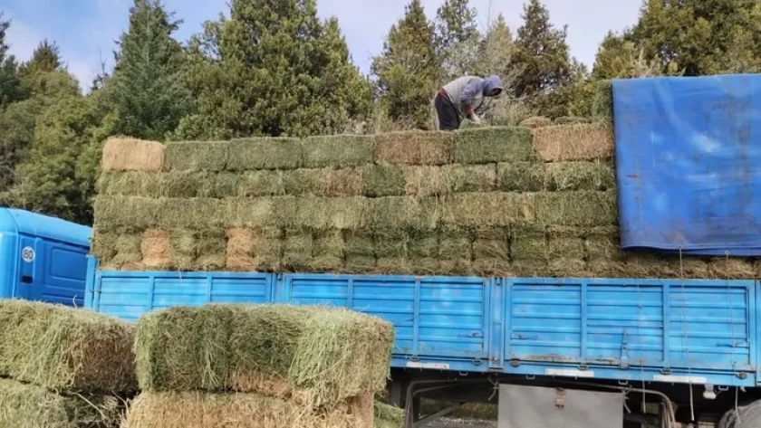 Entregan alimento para la hacienda que se encuentra aislada