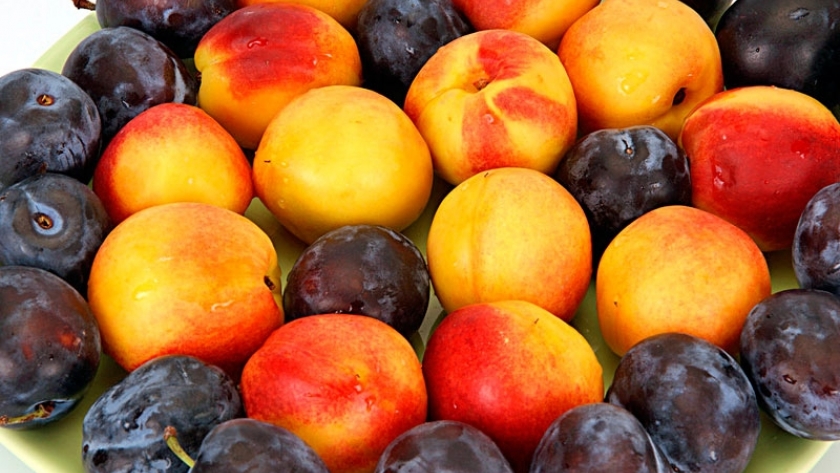 Duraznos y ciruelas entrarán en la Ley de Registro de Contratos