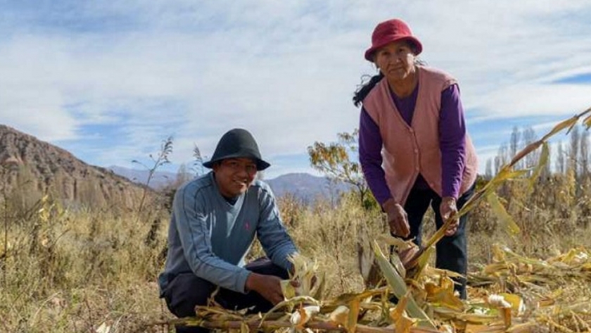Agricultura destinará más de $100 millones para garantizar la seguridad alimentaria de familias de la Agricultura Familiar