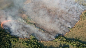 Incendios en Corrientes: evaluarán los efectos a mediano plazo sobre la biodiversidad