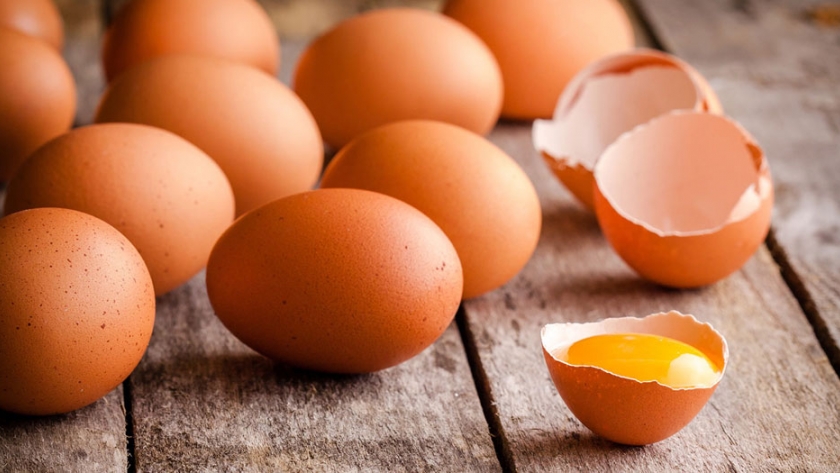 Más de la mitad de las gallinas de Francia están en sistemas alternativos