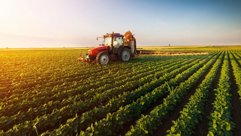 Enmienda a las normas alimentarias respaldada en el proyecto de ley agrícola del Reino Unido
