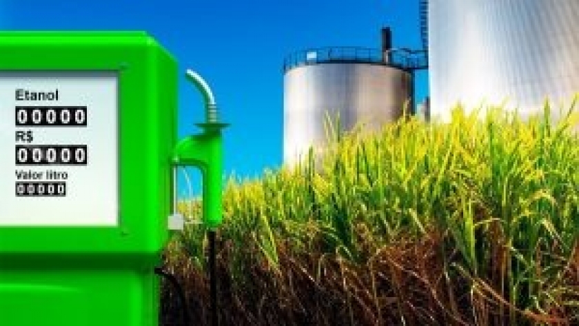 Aprueban la comercialización de las primeras levaduras genéticamente modificadas (GM)