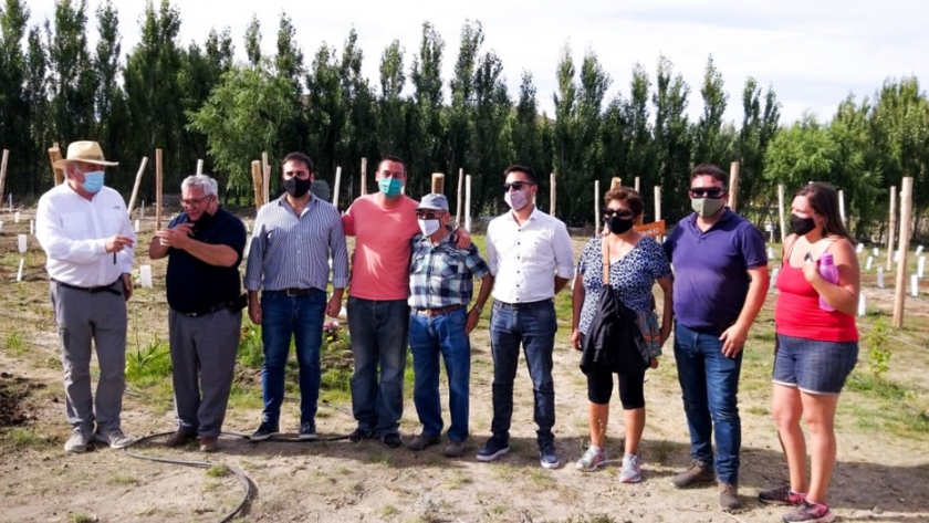El gobierno del Chubut apuesta al desarrollo de la industria vitivinícola en la zona sur de la provincia 
