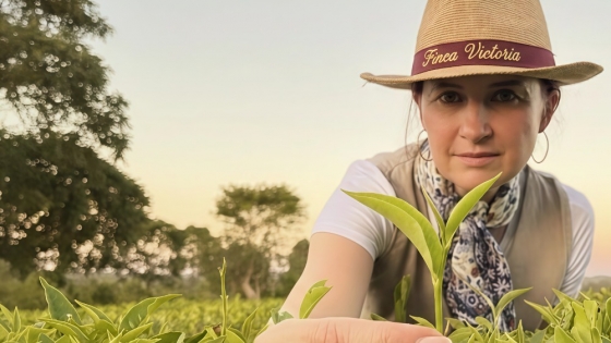 De publicidad al té gourmet: apuesta en Misiones