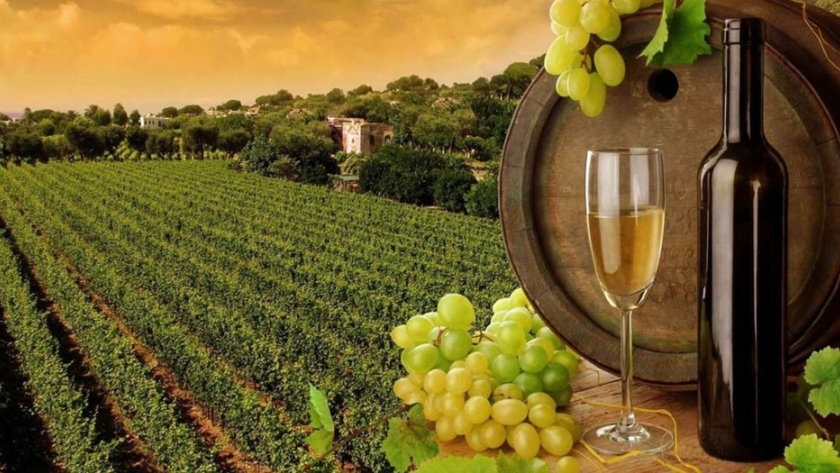 Semana del Torrontés de Altura junto al Museo de la Vid y el Vino