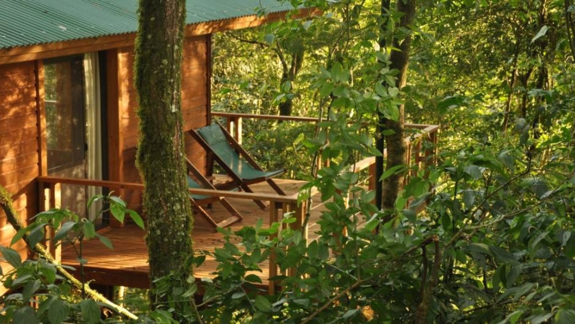 Vacaciones en la selva: cinco increíbles hospedajes misioneros