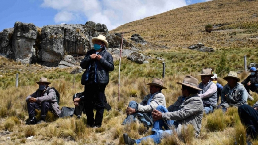Sembrarán pino y quinual en microcuencas del río Tablachaca