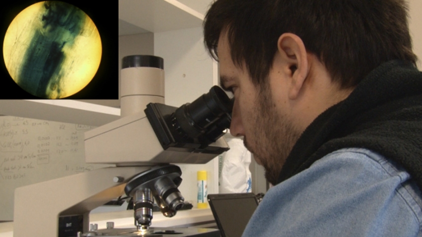 Avanzan los estudios sobre las comunidades microbianas del suelo en Patagonia Sur