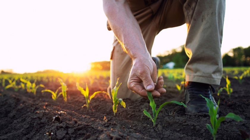 El agro fue el protagonista para el crecimiento de la actividad económica en nuestro país