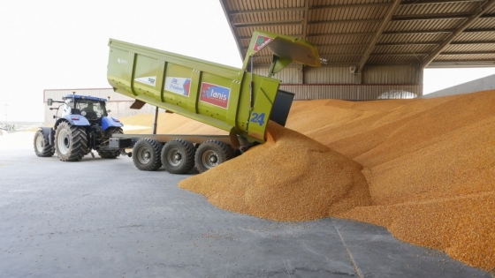<Informe WASDE de abril revela aumento en la demanda de maíz y desafíos para la soja y el trigo