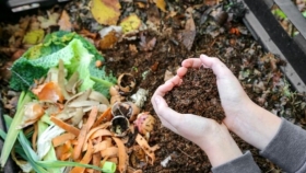 Compost en la huerta: ¿Cuáles son los errores comunes que se cometen?