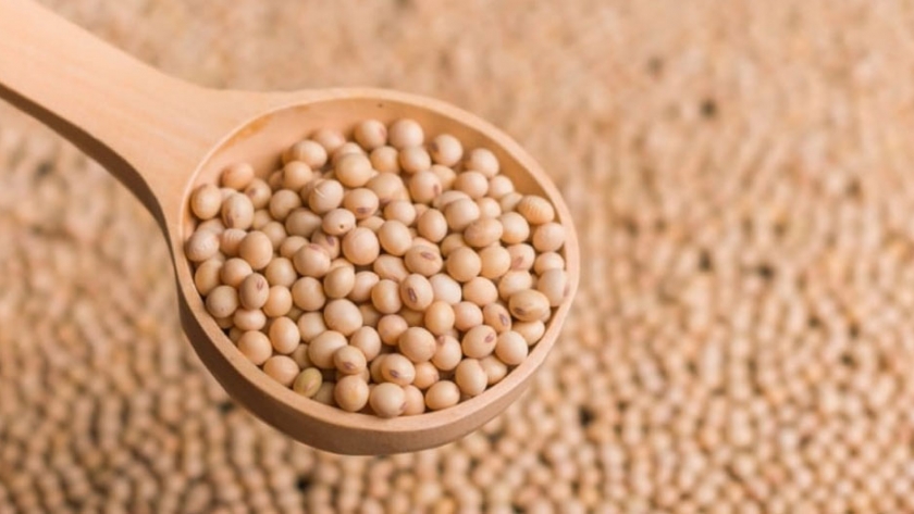 La empresa estatal china Sinograin aumentará un 25% las compras de porotos de soja argentinos