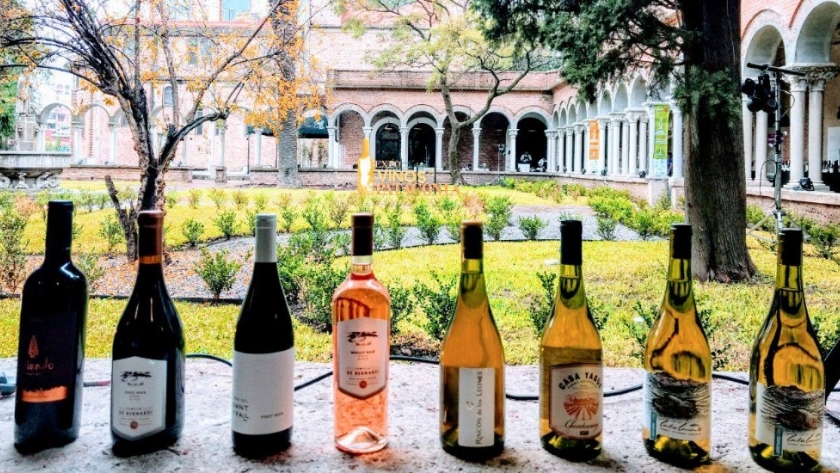 Expovinos de la Patagonia: los vinos del sur argentino en tu casa