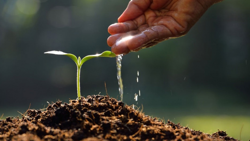 Buenas Prácticas Agrícolas para la producción de frutas y hortalizas frescas: el agua