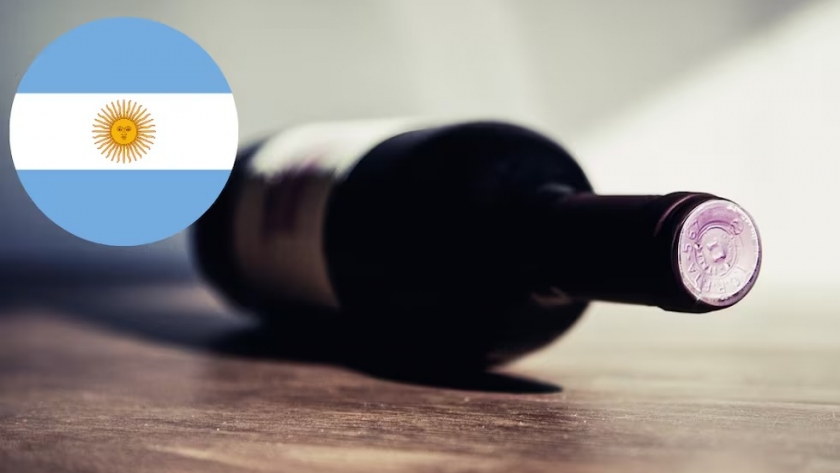 Cuáles son los 10 países líderes en el comercio mundial de vino: qué lugar ocupa Argentina