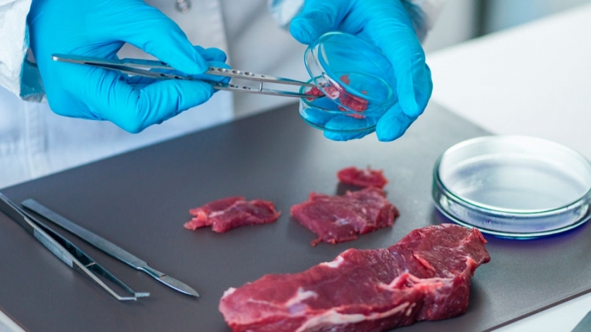 El desafío de mejorar aún más los aspectos nutritivos de la carne