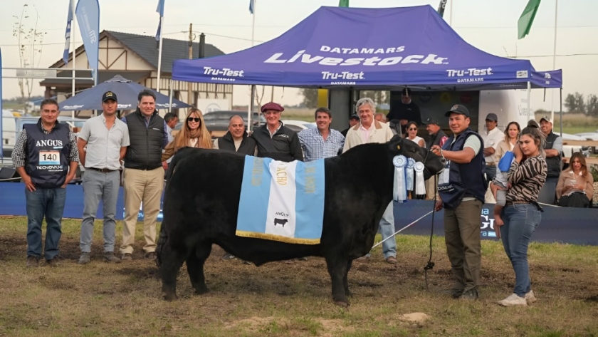 La Semana Angus de Primavera: un éxito de calidad y camaradería en Cañuelas