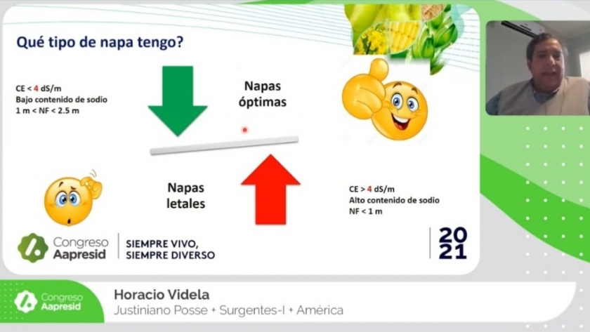 La napa, amenazas y oportunidades: experiencias de productores de Región Pampeana