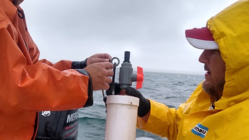 Buzos del ministerio de turismo controlan marea roja en Camarones y Bahía Bustamante