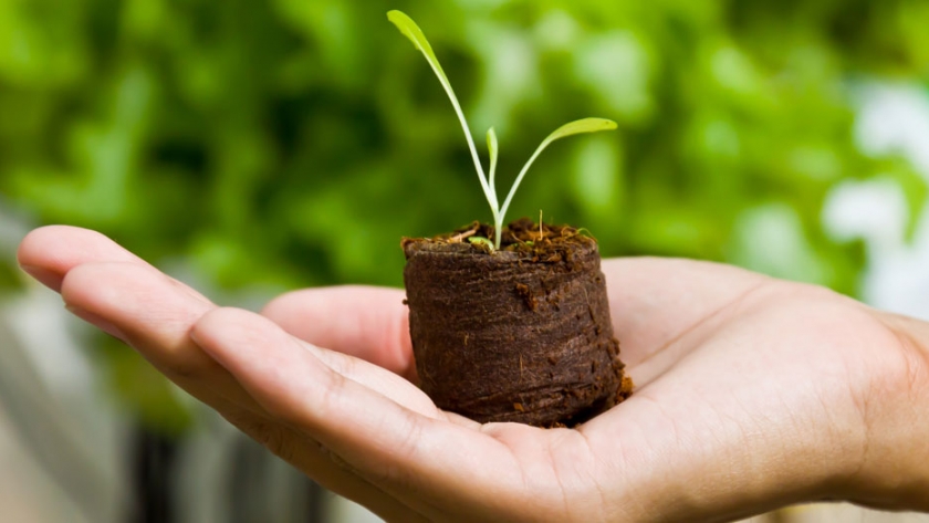 Se conmemora el Día Mundial de la Educación Ambiental
