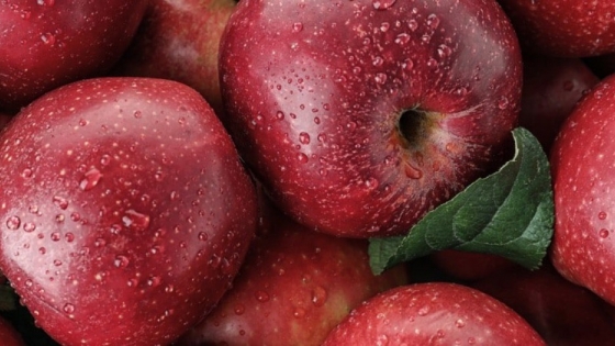 Brasil impulsa el repunte de la manzana argentina y consolida una recuperación exportadora