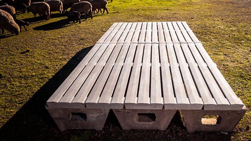 Slats para cerdos