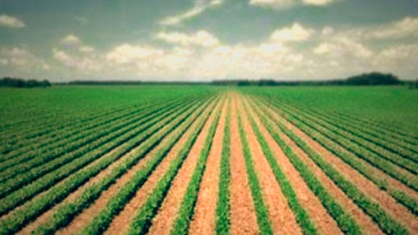 Agronomía