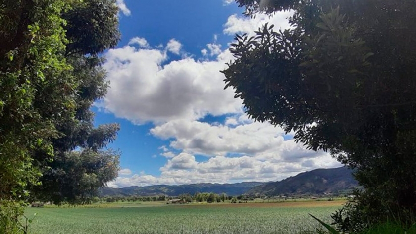 Jóvenes en Boyacá incentivan a otros para que no abandonen el campo