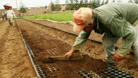Se apuesta al desarrollo de proyectos para la agricultura familiar en La Pampa y San Luis