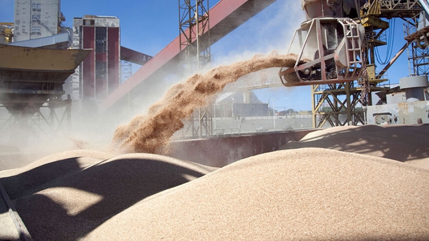 El complejo sojero exportó por US$ 1.872 millones en octubre tras la baja de retenciones