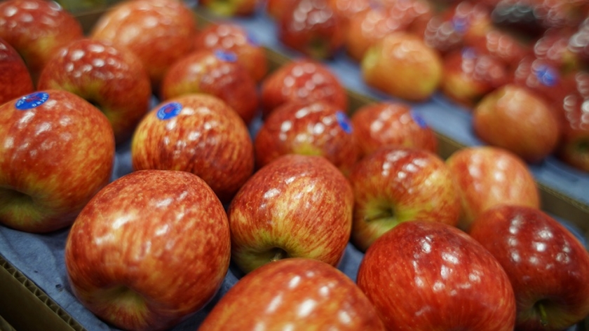 Manzana: Se espera que mejore el panorama durante el 2023