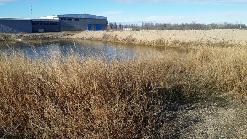 El Ministerio de Ambiente realizó controles en una planta procesadora de pescado de Dolavon