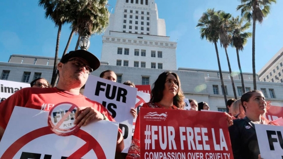 California prohíbe el comercio de pieles