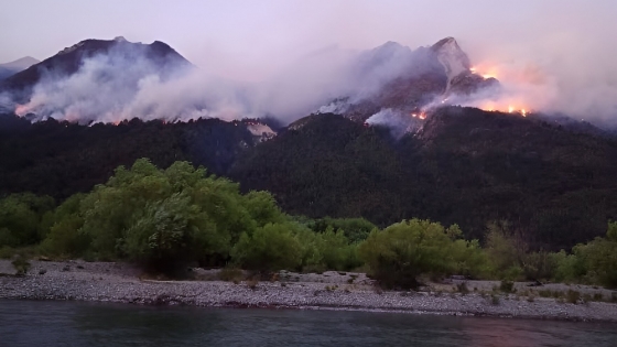 El Manso en Ruinas: Incendios Arrasan con el Trabajo de Productores de la Patagonia