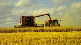 Entre Ríos avanza en las labores de cosecha de maíz tardío y de segunda
