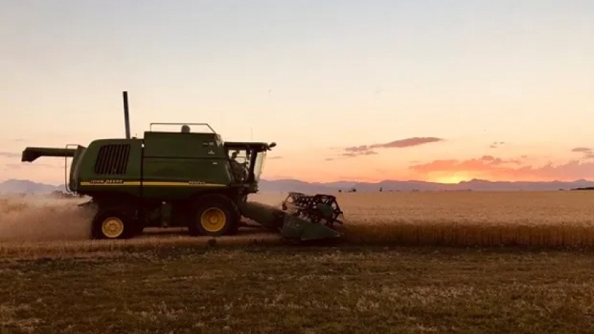 Planificación fiscal en empresas de agro: una guía para poner en marcha el 2021