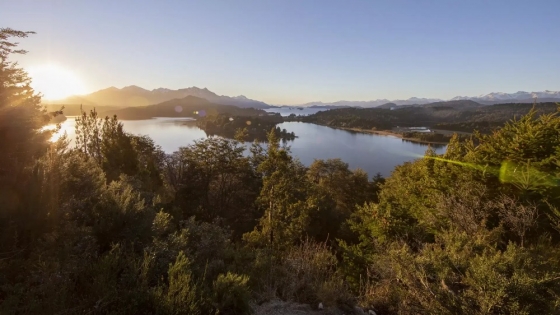 Río Negro asegura U$S 1,3 millones para conservación de sus bosques