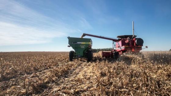 Rebaja de retenciones: fuerte respaldo del agro a la señal fiscal del Gobierno